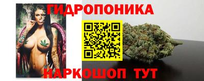 гашик Лесосибирск