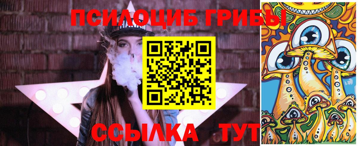 Галлюциногенные грибы GOLDEN TEACHER  Вход с VPN  Чистополь  Псилоцибиновые грибы Magic Shrooms 
